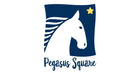 Pegasus-square