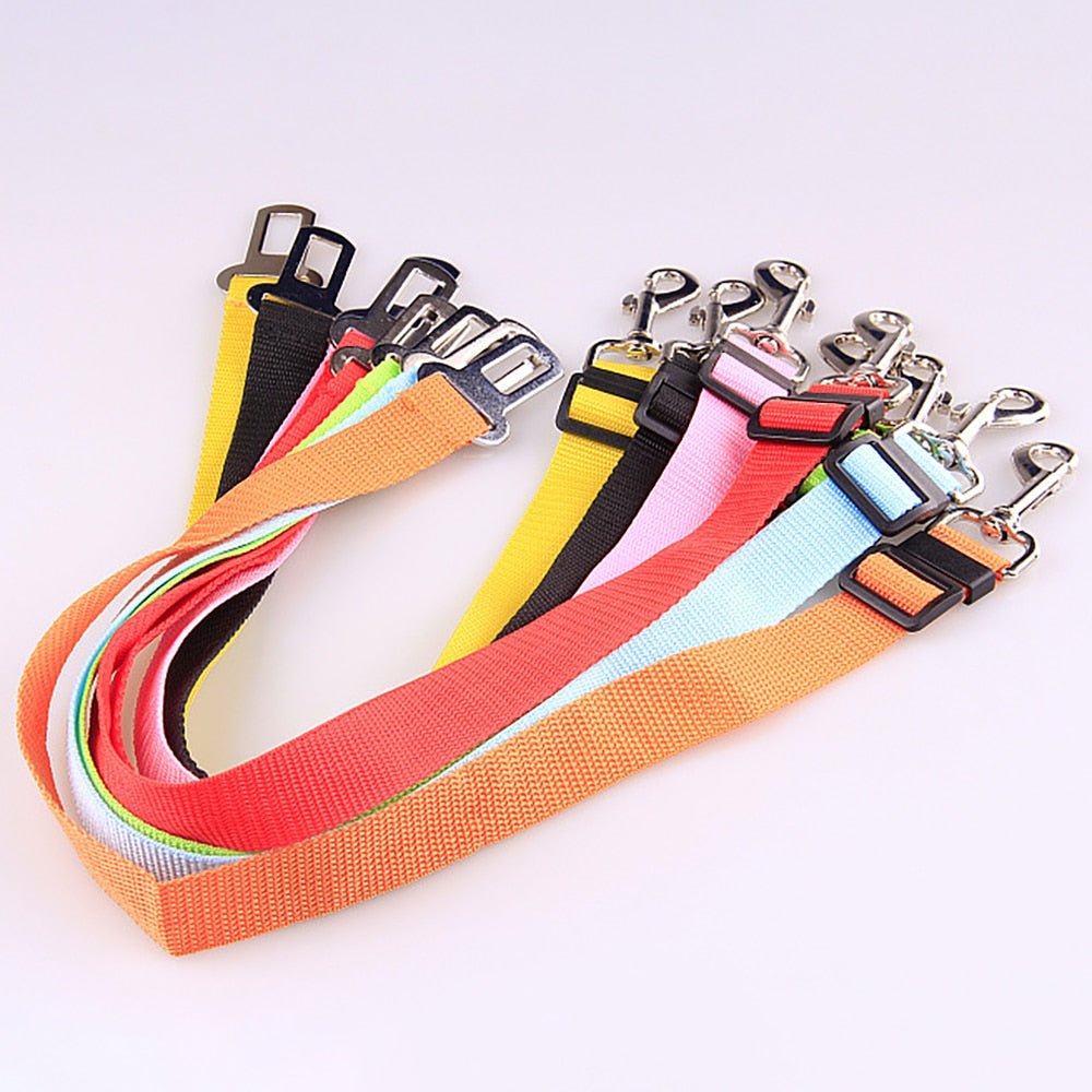 Ceinture de Sécurité pour Chiens - Pegasus-square
