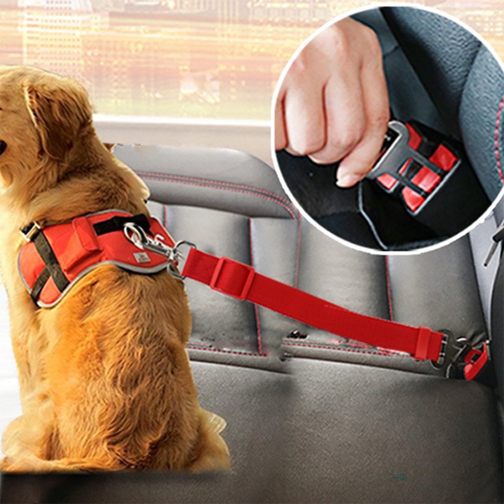 Ceinture de Sécurité pour Chiens - Pegasus-square