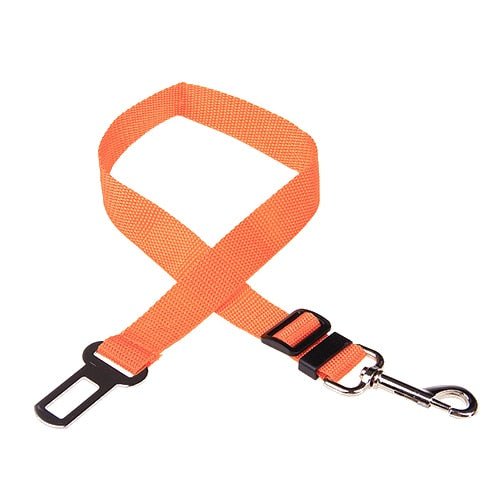 Ceinture de Sécurité pour Chiens - Pegasus-square