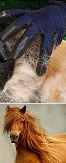Gants de Pansage - Pegasus-square
