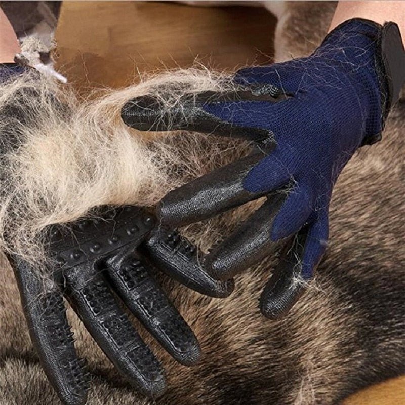 Gants de Pansage - Pegasus-square