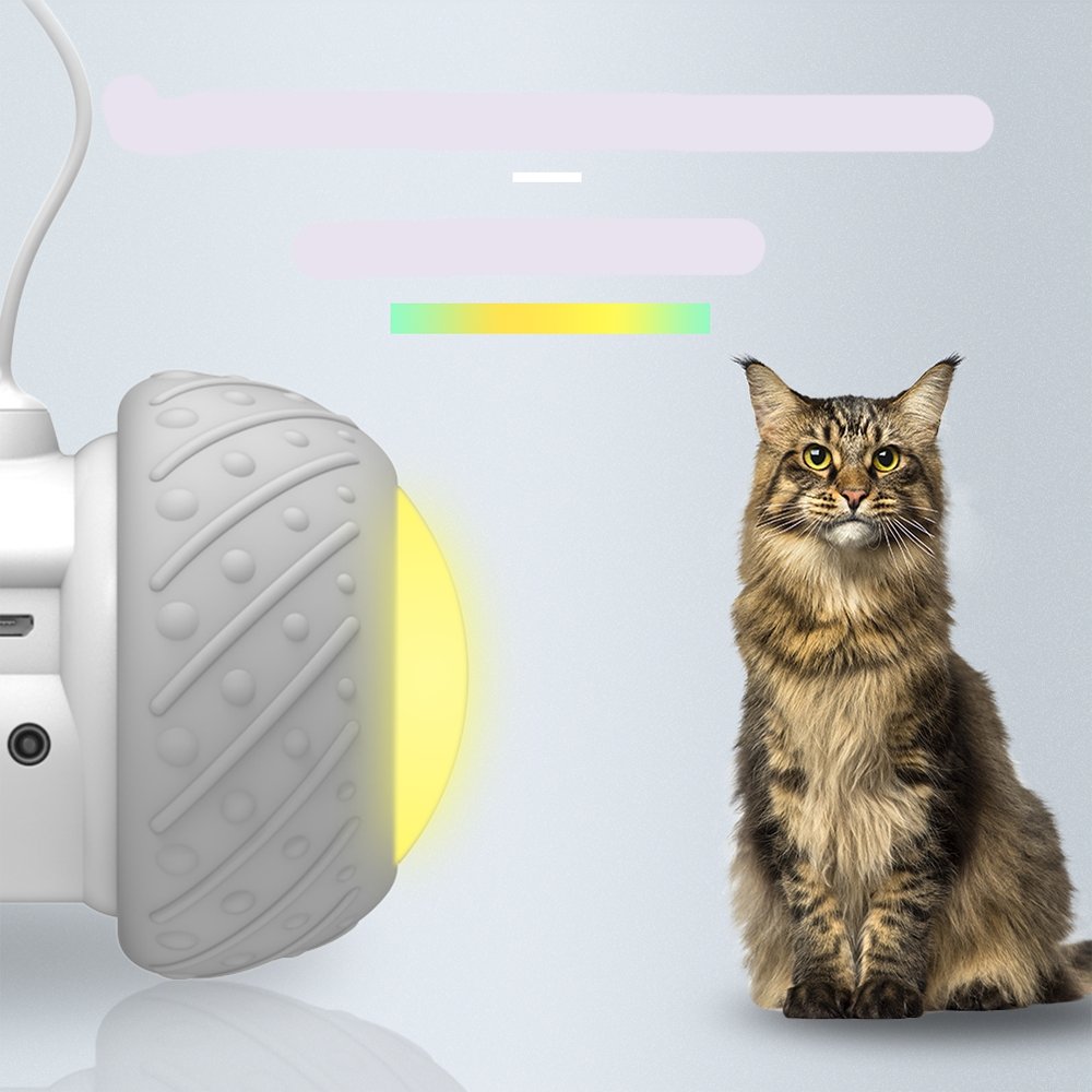 Jouet Robot Interactif pour Chat - Pegasus-square