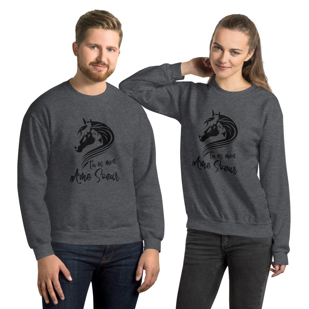 Sweat shirt Tu es mon âme soeur à Col Rond - Pegasus-square