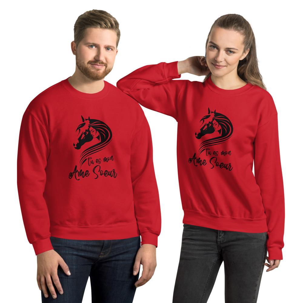 Sweat shirt Tu es mon âme soeur à Col Rond - Pegasus-square