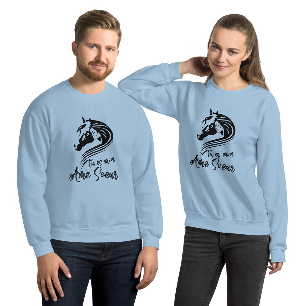 Sweat shirt Tu es mon âme soeur à Col Rond - Pegasus-square