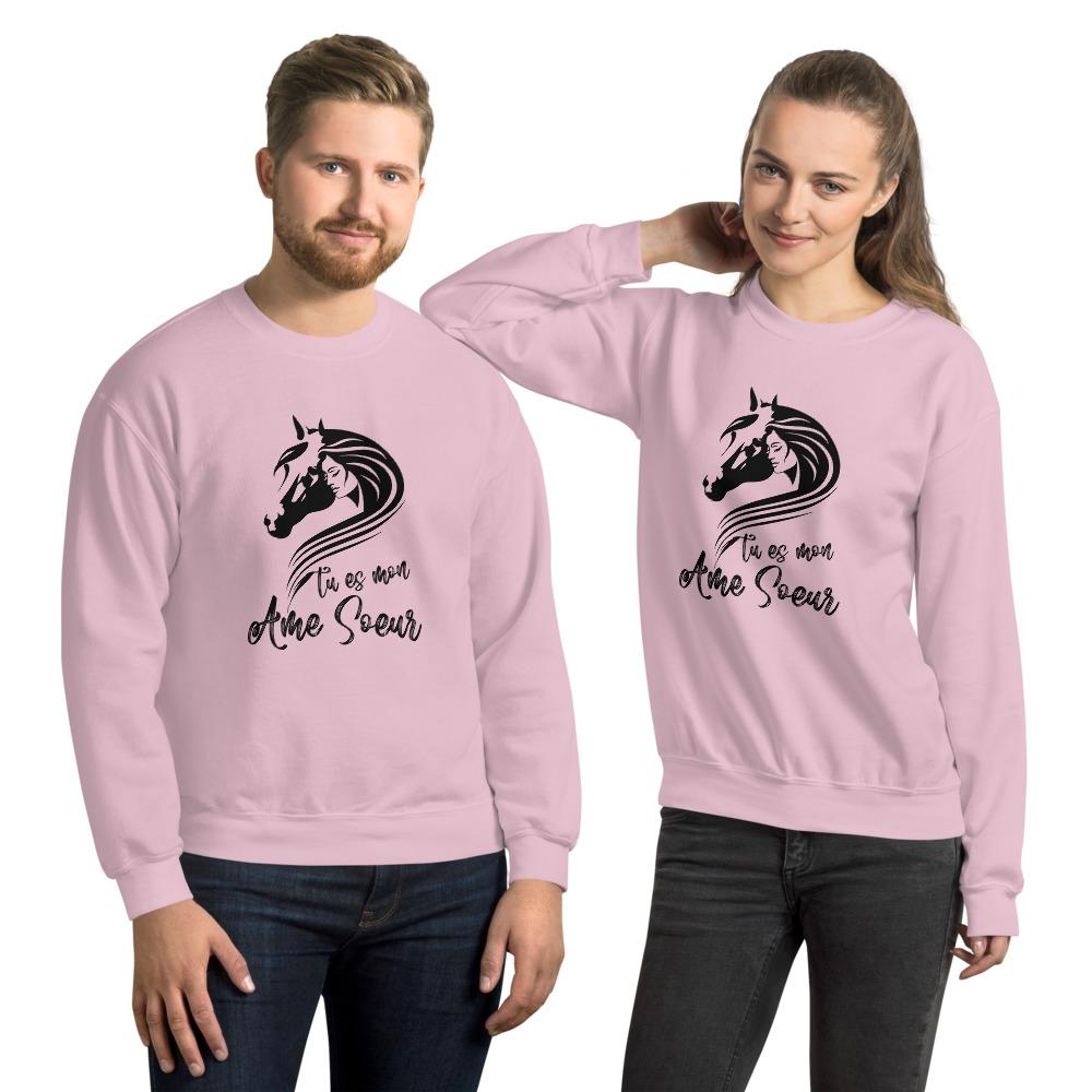 Sweat shirt Tu es mon âme soeur à Col Rond - Pegasus-square
