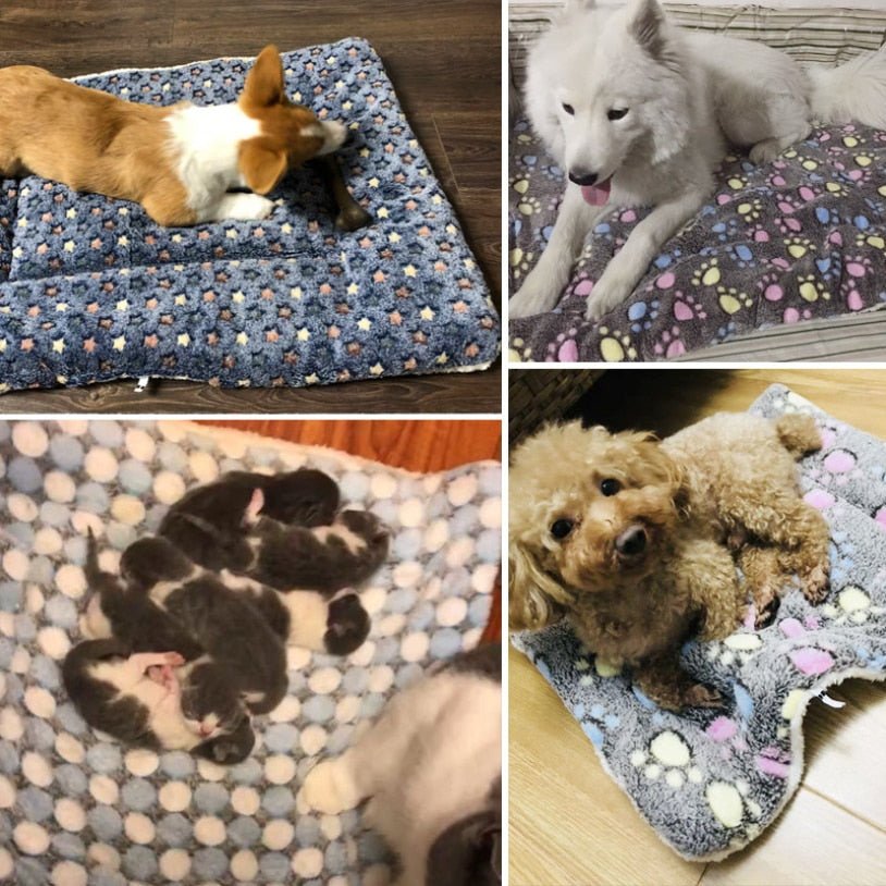 Tapis doux et moelleux pour Chiens (et Chats !) - Pegasus-square
