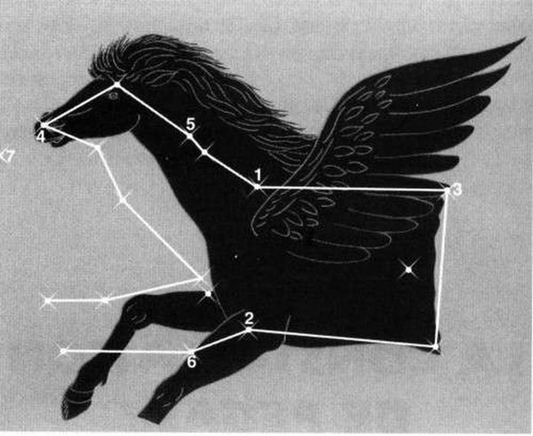 Pegase constellation - Pegasus-square