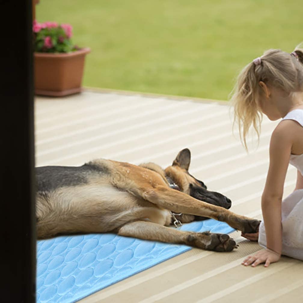 Tapis Rafraichissant pour Chien Pegasus-square