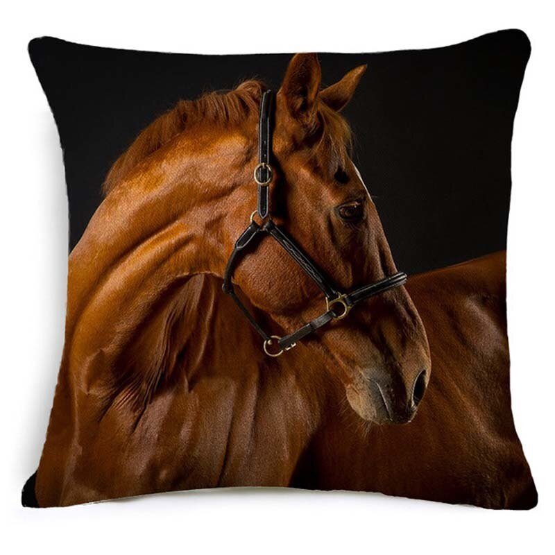 Housse de coussin "Portraits" - Pegasus-square