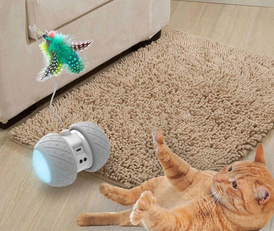 Jouet Robot Interactif pour Chat - Pegasus-square