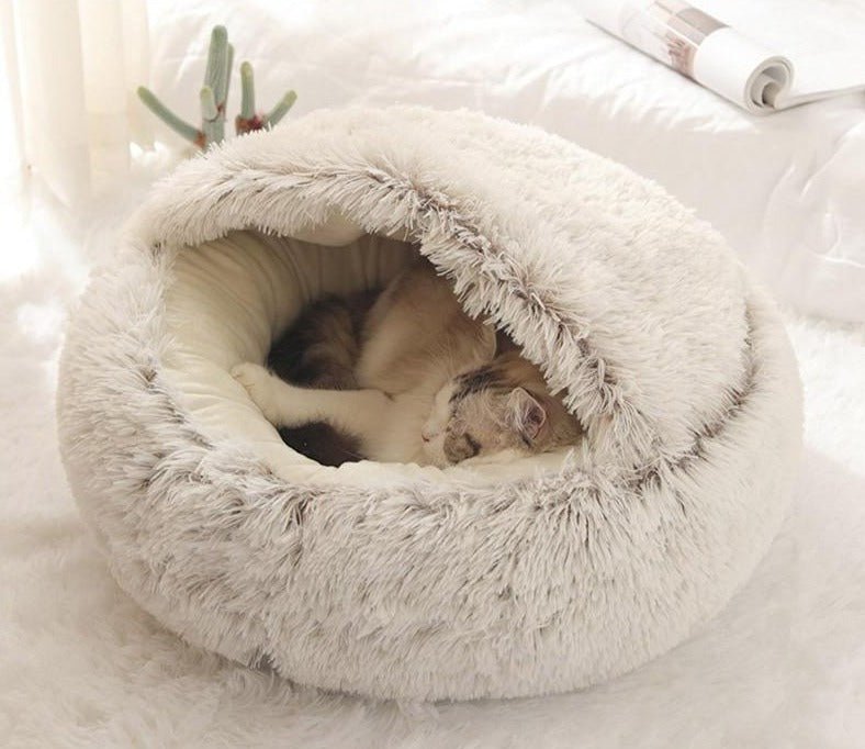 lit pour chat
