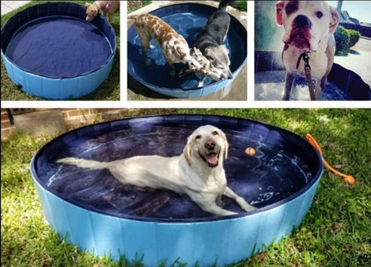 Piscine pliable pour Chiens - Pegasus-square