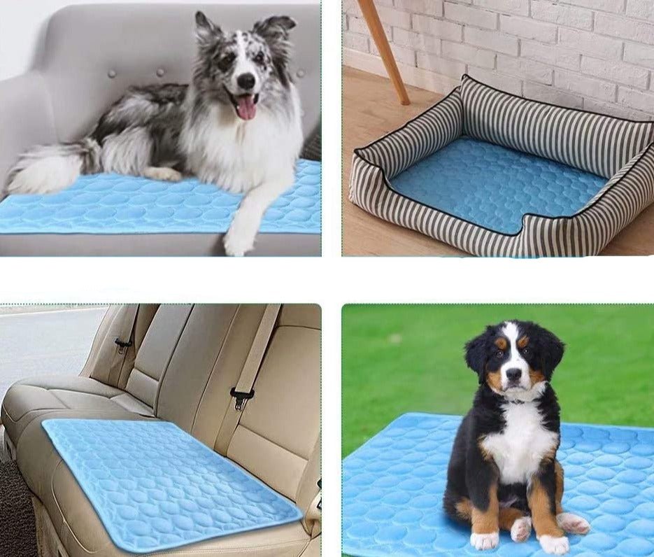 Tapis Rafraichissant pour Chien - Pegasus-square