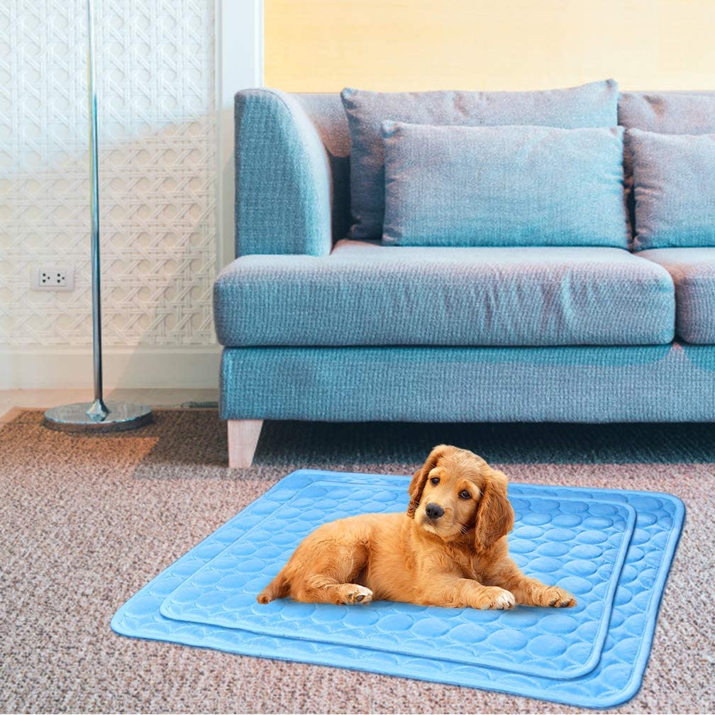 Tapis Rafraichissant pour Chien - Pegasus-square